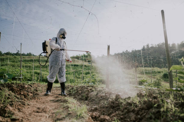 Best Best Pest Control Companies  in Colmar Manor, MD