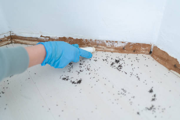 Wildlife Control Services in Colmar Manor, MD